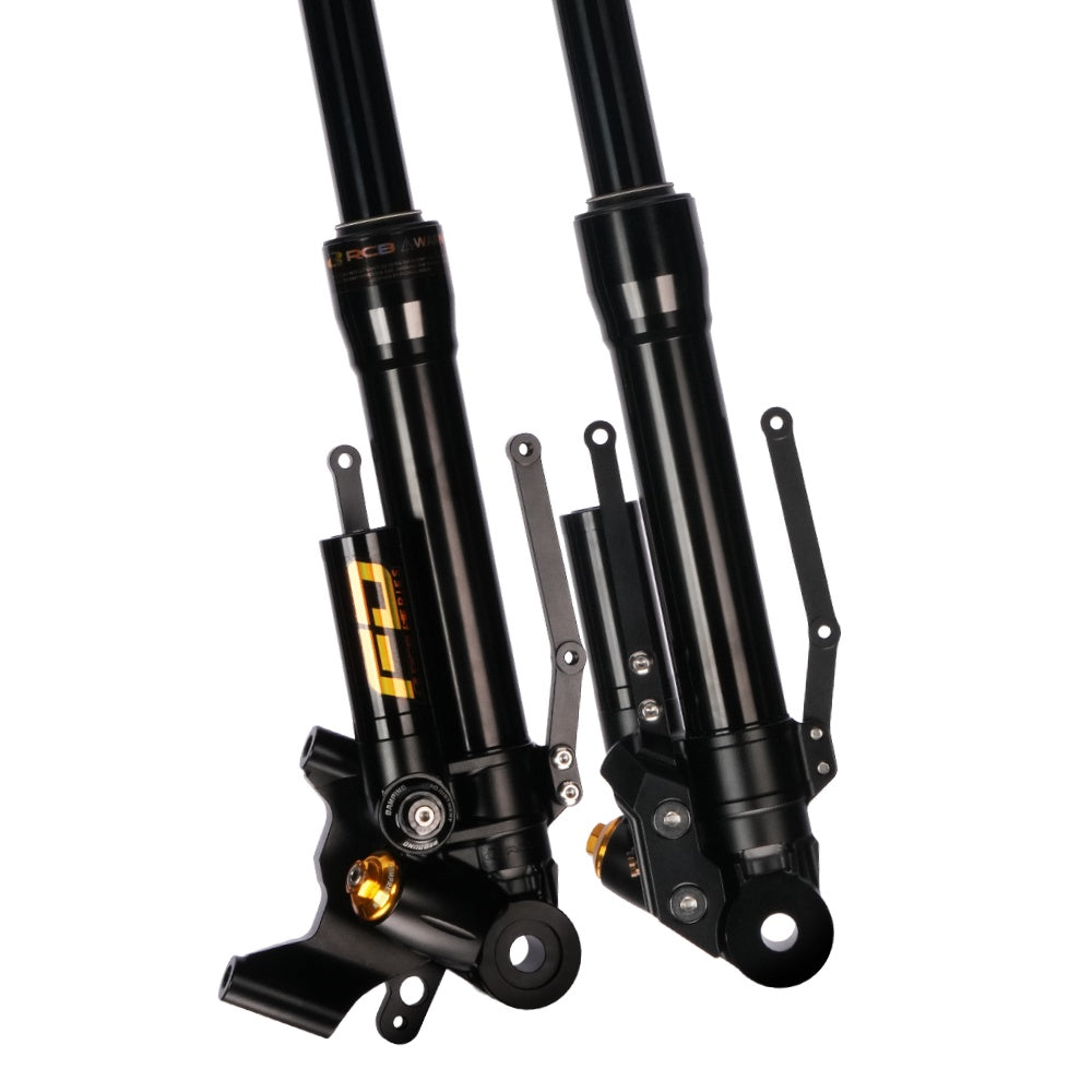 RCB FD FRONT FORK